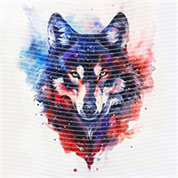 Animal Integration-DW 843